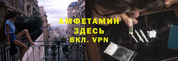 гидра Алексеевка