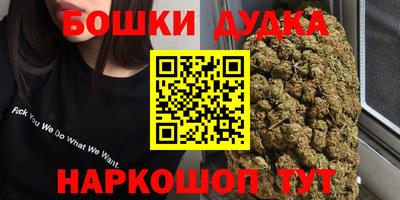 МДПВ Пушкино