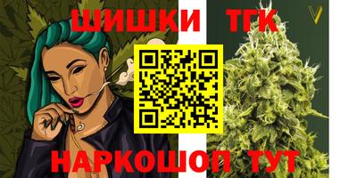 МДПВ Пушкино