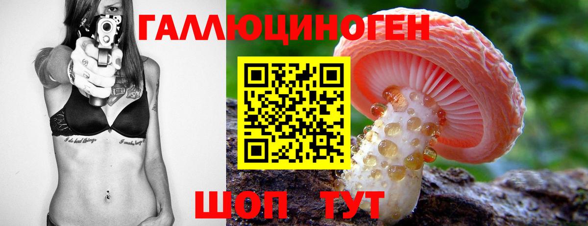 Солнечногорск  Псилоцибиновые грибы мицелий  Вход с VPN 