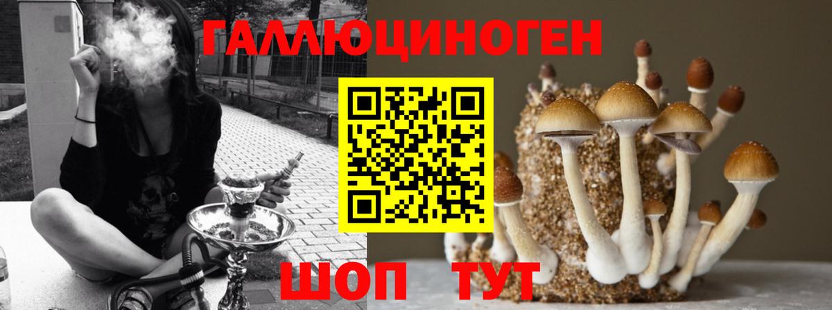 Галлюциногенные грибы MAGIC MUSHROOMS Солнечногорск